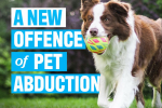 A new offence will be created to tackle Pet Theft.