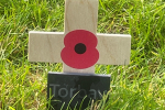 A Poppy Planted in Parliament's Constituency Garden of Remembrance.